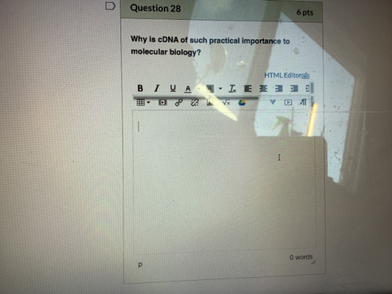 Question 28 6 pts Why is cDNA of such practical importance to molecular biology? HTML Editora BIVA - IE 3 DV VDT O words