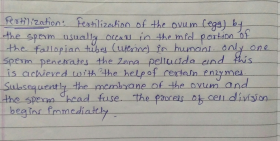 Festiization festilizehion of the avum (egs) bt the speim usually the fallopian tibe (uterine) in hunani only Speim peneates