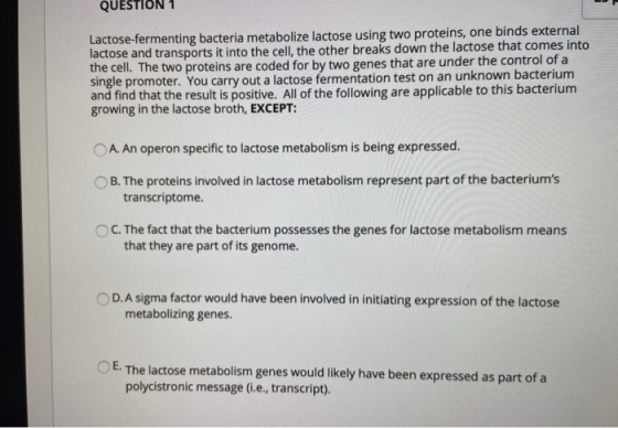 QUESTION 1 Lactose-fermenting bacteria metabolize lactose using two proteins, one binds external lactose and transports it in
