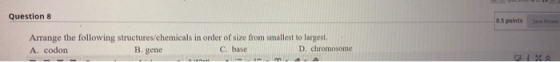 Question 8 0.5 points Arrange the following structures/chemicals in order of size from smallest to largest A. codon B. gene C