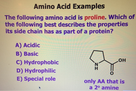 Amino Acid Examples The following amino acid is proline. Which of the following best describes the properties its side chain