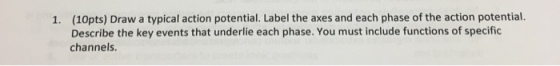 (10pts) Draw a typical action potential. Label the axes and each phase of the action potential. Describe the key events that underlie each phase. You must include functions of specific channels. 1.