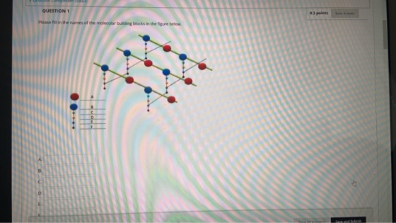 QUESTION 1 0.3 points Please fill in the names of the molecular building blods in the figure below