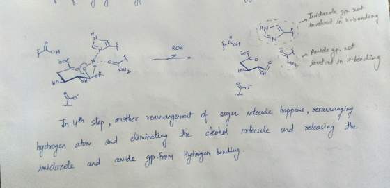 UU Inidazole gp. not involved in t-bonding i when the ROH Ande go, not Logo Southend son n tonding In 4th step, another rearr