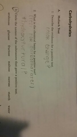 Carbohydrates A. Molisch Test 1. Describe the evid