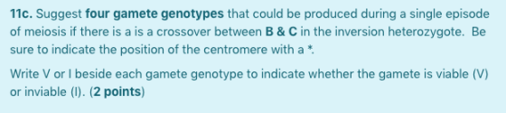 11c. Suggest four gamete genotypes that could be produced during a single episode of meiosis if there is a is a crossover bet