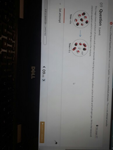 09 Question (1 point DOLL