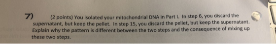 En (2 points) You isolated your mitochondrial DNA in Part I. In step 6, you discard the supernatant, but keep the pellet. In
