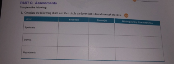 PART C: Assessments Complete the following: 1. Complete the following chart, and then circle the layer that is found beneath