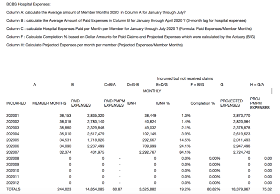 BCBS Hospital Expenses: Column A: calculate the Average amount of Member Months 2020 in Column A for January through July? Co