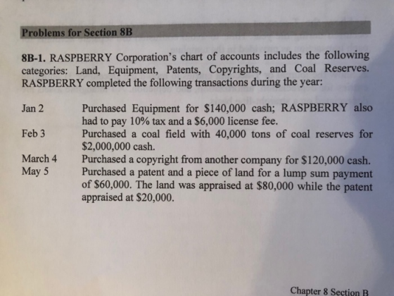 Problems for Section 8B 8B-1. RASPBERRY Corporations chart of accounts includes the following categories: Land, Equipment, P