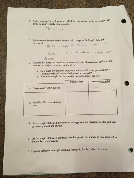 1. As the length of the cell increases, which increases more rapidly the surface area or the volume? Justify your response. The How does the Surface area to volume ratio change as the length of the cell increases? 2. 3. Assume that every cell requires a minimum of 1 unit of oxygen per um (unit volume of cells) every second to stay alive. 10 um bacteria cell versus a 100 um cukaryotic cell? What effect might this have on the metabolic rate of the cell? b. 10 um bacteria 100 um eukaryotic a Oxygen /um2 of SA/second 100 Possible effect on metabolic rate b. As the length of the cell increases, what happens to the percentage of the cell that gets enough food and oxygen? 4. As the length of the cell increases what happens to the amount of time required to obtain food and oxygen? 5. 6. Explain, using the concepts you have learned in this lab, why cells divide.