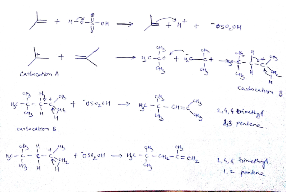 f/it 23 Petene