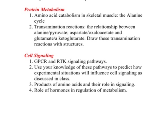Amino acid catabolism in skeletal muscle: the Alan