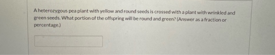 A heterozygous pea plant with yellow and round seeds is crossed with a plant with wrinkled and green seeds. What portion of t