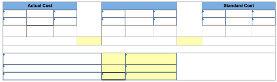 Actual Cost Standard Cost