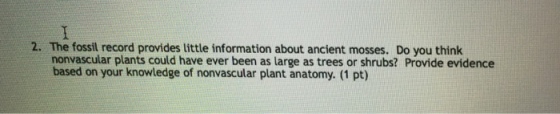 2. The fossil record provides little information about ancient mosses. Do you think nonvascular plants could have ever been as large as trees or shrubs? Provide evidence based on your knowledge of nonvascular plant anatomy. (1 pt)