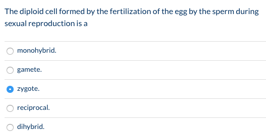 The diploid cell formed by the fertilization of the egg by the sperm during sexual reproduction is a O monohybrid. O gamete.
