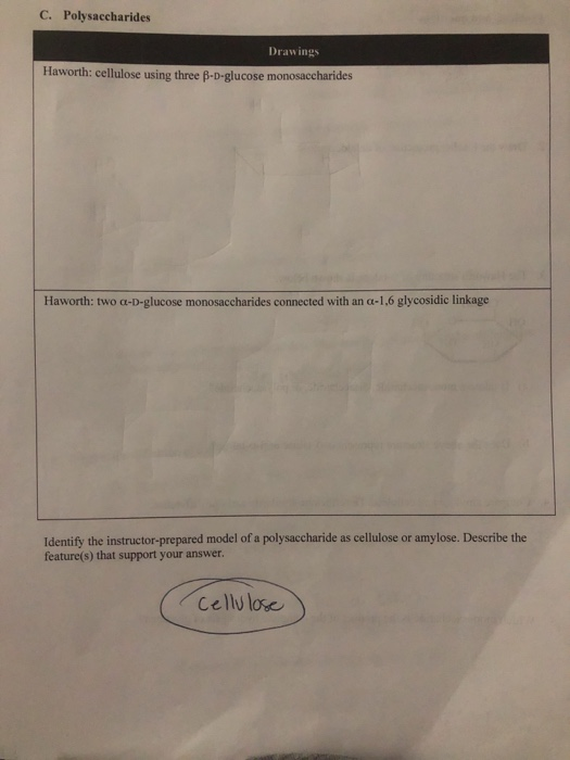 C. Polysaccharides Drawings Haworth: cellulose using three B-D-glucose monosaccharides Haworth: two a-D-glucose monosaccharid