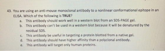 43. You are using an anti-mouse monoclonal antibody to a nonlinear conformational epitope in an ELISA. Which of the following is TRUE? This antibody should work well in a western blot from an SDS-PAGE gel This antibody cant be used in a western blot because it will be denatured by the residual SDS This antibody be useful in targeting a protein blotted from a native gel. This antibody should have higher affinity than a polyclonal antibody. This antibody will target only human proteins a. b. c. d. e.