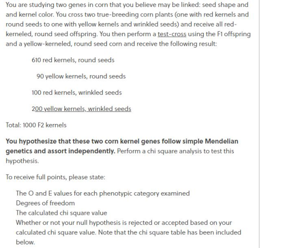 You are studying two genes in corn that you believe may be linked: seed shape and and kernel color. You cross two true-breedi