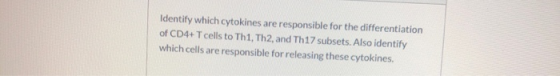 Identify which cytokines are responsible for the differentiation of CD4+ T cells to Th1, Th2, and Th17 subsets. Also identify
