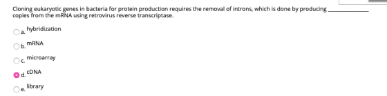 Cloning eukaryotic genes in bacteria for protein production requires the removal of introns, which is done by producing copie