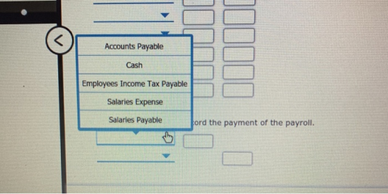 Accounts Payable Cash Employees Income Tax Payable Salaries Expense Salaries Payable ord the payment of the payroll.