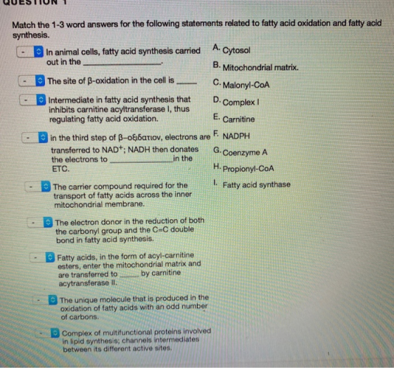 QUESTION 1 Match the 1-3 word answers for the following statements related to fatty acid oxidation and fatty acid synthesis.