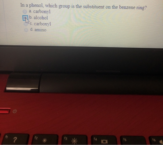 In a phenol, which group is the substituent on the benzene ring? a. carbonyl ]b alcohol C carboxyl d amino ts 4 ?