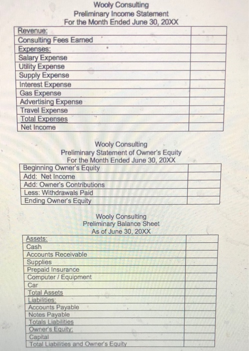 Wooly Consulting Preliminary Income Statement For the Month Ended June 30, 20XX Revenue: Consulting Fees Eamed Expenses: Sala