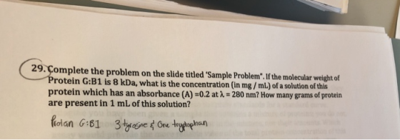 29. Complete the problem on the slide titled Sample Problem. If the molecular weight of Protein G:B1 is 8 kDa, what is the