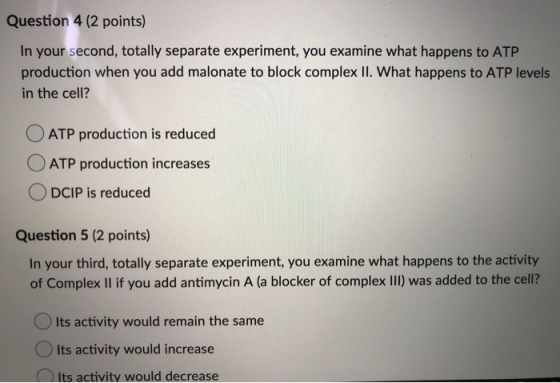 Question 4 (2 points) In your second, totally separate experiment, you examine what happens to ATP production when you add ma