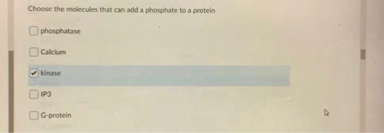 Choose the molecules that can add a phosphate to a protein phosphatase Calcium kinase IP3 OG-protein