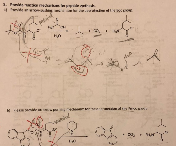 5. Provide reaction mechanisms for peptide synthesis. a) Provide an arrow-pushing mechanism for the deprotection of the Boc g