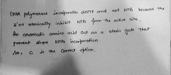 DNA polymerase incorporates dNTP and not NTPs because the 2on sterically inhibit NTPs from the active site. An aromatic amin
