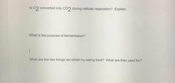 Is 02 converted into CO2 during cellular respiration? Explain. What is the purpose of fermentation? What are the two things w