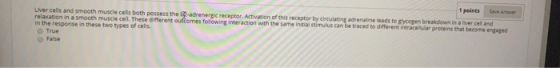1 points SA Liver cells and smooth muscle cells both possess the BP-adrenergic receptor. Activation of this receptor by circu