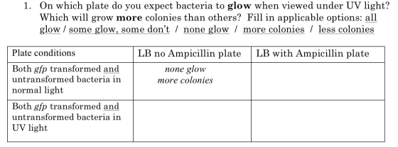 1. On which plate do you expect bacteria to glow when viewed under UV light? Which will grow more colonies than others? Fill