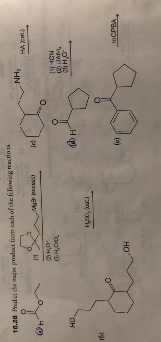 16.28 Predict the major product from each of the following reactions.. NH2 WY HA (cat.) NH HA (cat) MgBr (excess) (2) H.O (3)