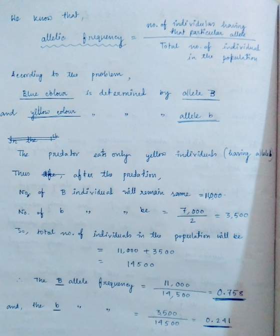 Puat panheular alle allile b dira individualn (ha ving lala↓ Thus individu al W.JJun nain в Aomu.. =LD0.0 be- ,000 = 3,50