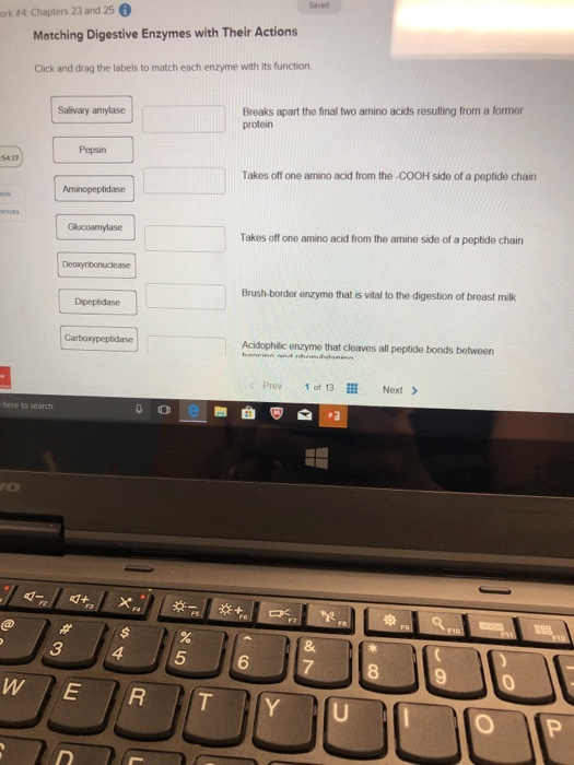 Saved ork #4 Chapters 23 and 250 Matching Digestive Enzymes with Their Actions Click and drag the labels to match each enzyme