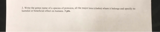 2. Write the genus name of a species of protozoa, all the major taxa (clades) where it belongs and specify its harmful or ben