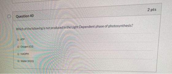 2 pts Question 40 Which of the following is not produced in the Light Dependent phase of photosynthesis? О АТР Oxygen (O2 NAD