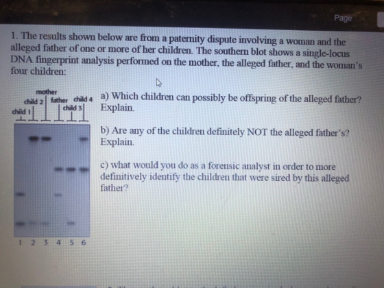 Page 1. The results shown below are from a paternity dispute involving a woman and the alleged father of one or more of her c