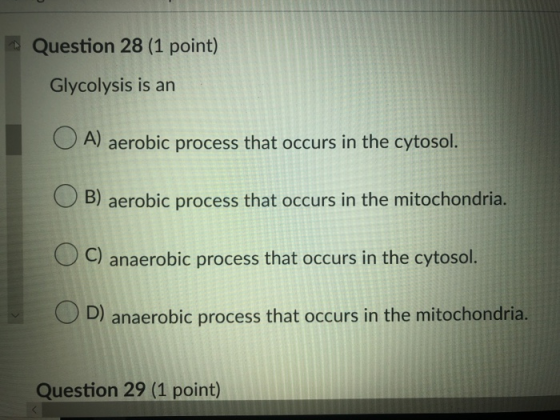 Question 28 (1 point) Glycolysis is an A) aerobic process that occurs in the cytosol. B) aerobic process that occurs in the m