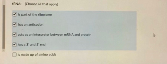 tRNA: (Choose all that apply) is part of the ribosome has an anticodon acts as an interpreter between mRNA and protein has a