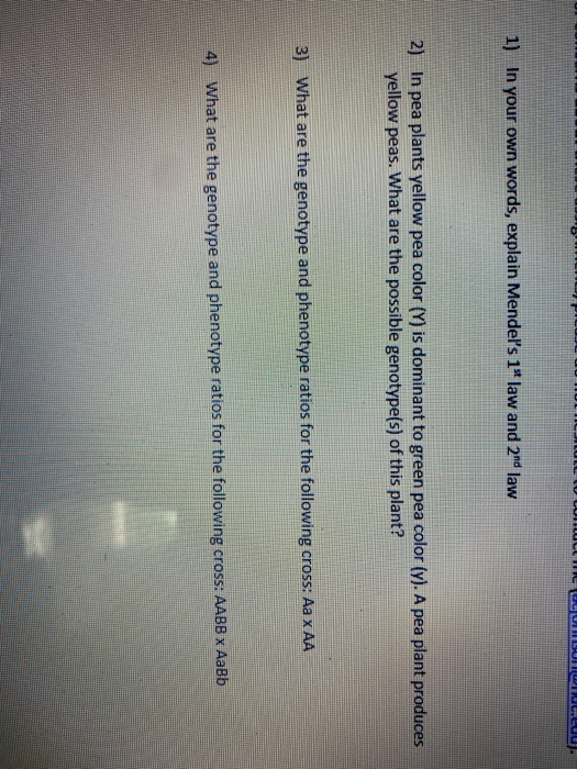 LISUUS 1) In your own words, explain Mendels 1 law and 2nd law 2) In pea plants yellow pea color (Y) is dominant to green p
