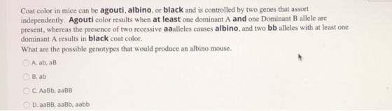 Coat color in mice can be agouti, albino, or black and is controlled by two genes that assort independently. Agouti color res