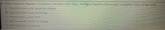 . When oxygen is depleted, the electron transport chain stops. What is happens when oxygen is depleted? Select all that apply